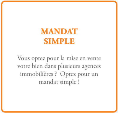 Vignettes_Type_Mandat_Simple Vignettes_Type_Mandat_Simple